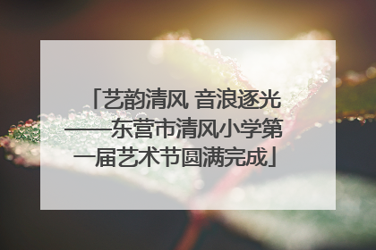 艺韵清风 音浪逐光——东营市清风小学第一届艺术节圆满完成