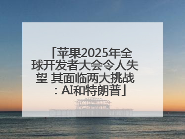 苹果2025年全球开发者大会令人失望 其面临两大挑战：AI和特朗普
