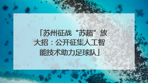 苏州征战“苏超”放大招：公开征集人工智能技术助力足球队