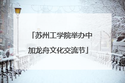 苏州工学院举办中加龙舟文化交流节