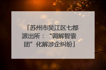 苏州市吴江区七都派出所：“调解智囊团”化解涉企纠纷
