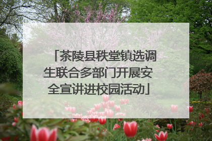 茶陵县秩堂镇选调生联合多部门开展安全宣讲进校园活动
