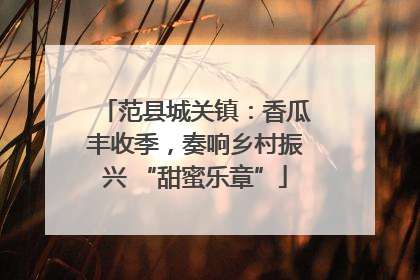 范县城关镇：香瓜丰收季，奏响乡村振兴 “甜蜜乐章”