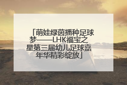 萌娃绿茵播种足球梦——LHK福宝之星第三届幼儿足球嘉年华精彩绽放