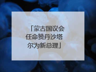 蒙古国议会任命赞丹沙塔尔为新总理