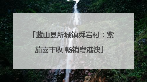 蓝山县所城镇舜岩村：紫茄喜丰收 畅销粤港澳