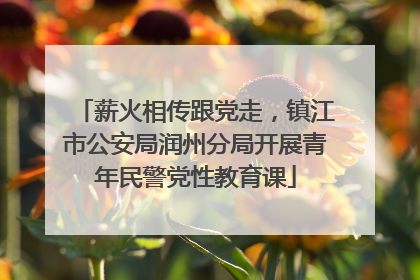 薪火相传跟党走，镇江市公安局润州分局开展青年民警党性教育课