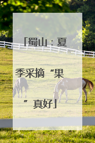 蜀山：夏季采摘“果”真好