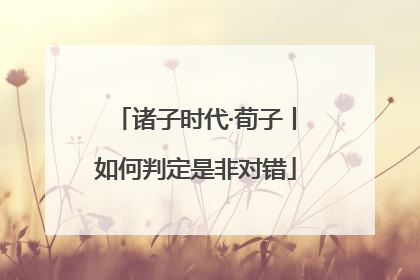 诸子时代·荀子丨如何判定是非对错