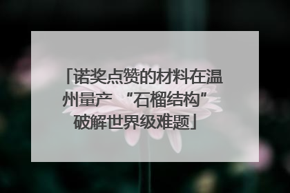 诺奖点赞的材料在温州量产 “石榴结构”破解世界级难题