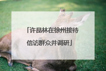 许昆林在徐州接待信访群众并调研
