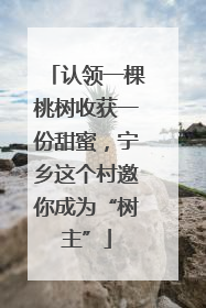 认领一棵桃树收获一份甜蜜，宁乡这个村邀你成为“树主”