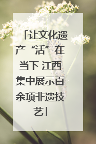 让文化遗产“活”在当下 江西集中展示百余项非遗技艺