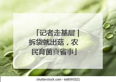 记者走基层｜拆袋就出菇，农民育菌真省事