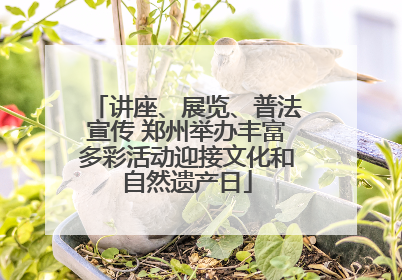 讲座、展览、普法宣传 郑州举办丰富多彩活动迎接文化和自然遗产日