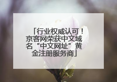 行业权威认可！京客网荣获中文域名“中文网址”黄金注册服务商