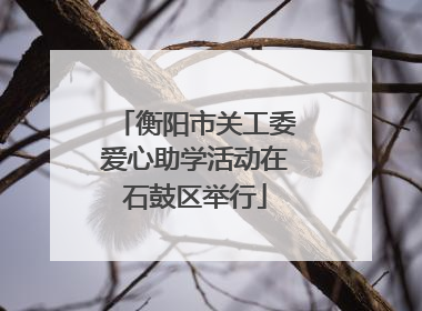 衡阳市关工委爱心助学活动在石鼓区举行