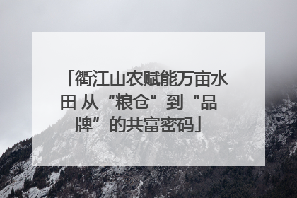 衢江山农赋能万亩水田 从“粮仓”到“品牌”的共富密码