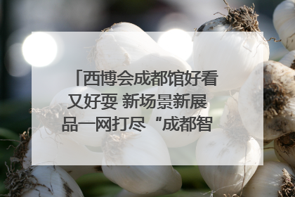 西博会成都馆好看又好耍 新场景新展品一网打尽“成都智造”｜西博视界