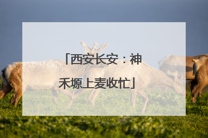 西安长安：神禾塬上麦收忙