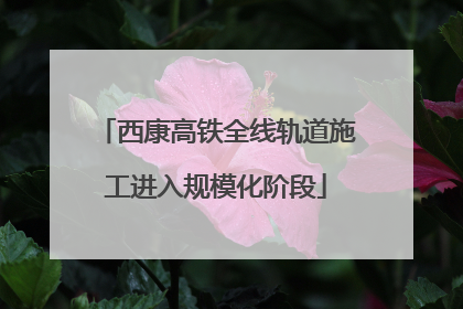 西康高铁全线轨道施工进入规模化阶段