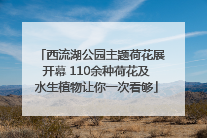 西流湖公园主题荷花展开幕 110余种荷花及水生植物让你一次看够
