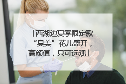 西湖边夏季限定款“臭美”花儿盛开，高颜值，只可远观