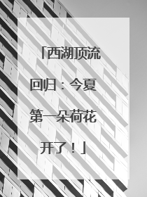 西湖顶流回归：今夏第一朵荷花开了！