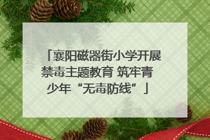 襄阳磁器街小学开展禁毒主题教育 筑牢青少年“无毒防线”