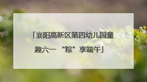 襄阳高新区第四幼儿园童趣六一 “粽”享端午