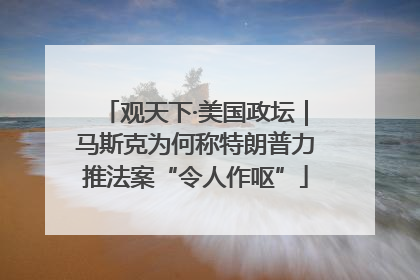 观天下·美国政坛｜马斯克为何称特朗普力推法案“令人作呕”