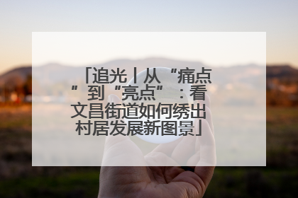 追光丨从“痛点”到“亮点”：看文昌街道如何绣出村居发展新图景