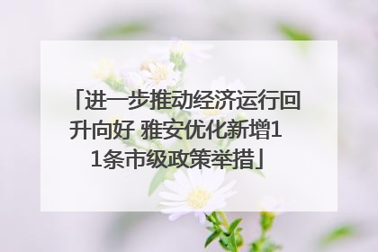 进一步推动经济运行回升向好 雅安优化新增11条市级政策举措
