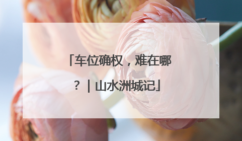 车位确权，难在哪？｜山水洲城记