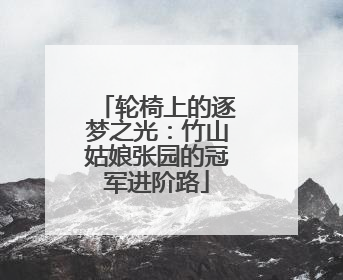 轮椅上的逐梦之光：竹山姑娘张园的冠军进阶路