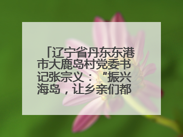 辽宁省丹东东港市大鹿岛村党委书记张宗义：“振兴海岛，让乡亲们都过上好日子”