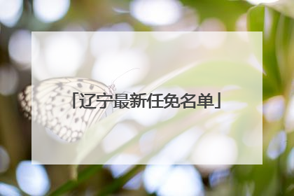 辽宁最新任免名单