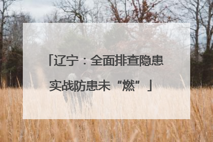 辽宁：全面排查隐患 实战防患未“燃”