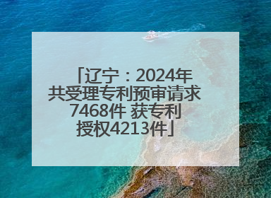 辽宁：2024年共受理专利预审请求7468件 获专利授权4213件
