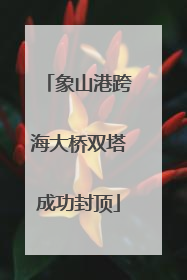 象山港跨海大桥双塔成功封顶