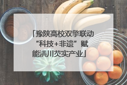 豫陕高校双擎联动 “科技+非遗”赋能潢川芡实产业