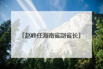 赵峰任海南省副省长
