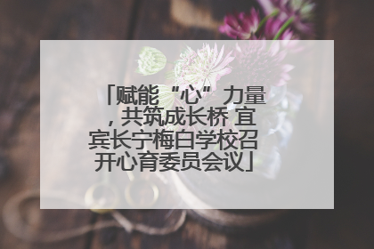 赋能“心”力量，共筑成长桥 宜宾长宁梅白学校召开心育委员会议