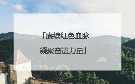 赓续红色血脉 凝聚奋进力量
