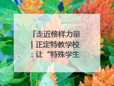 走近榜样力量｜正定特教学校：让“特殊学生”不再特殊
