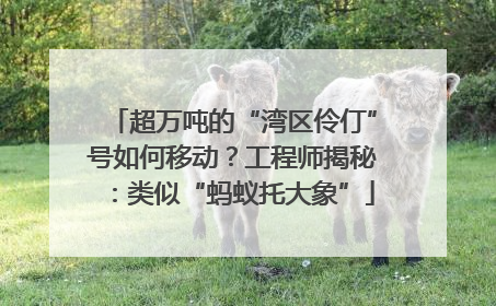 超万吨的“湾区伶仃”号如何移动？工程师揭秘：类似“蚂蚁托大象”