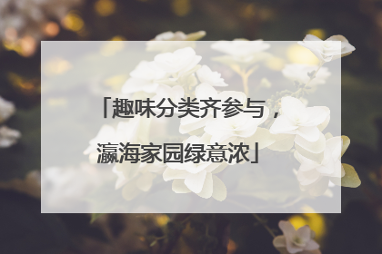 趣味分类齐参与，瀛海家园绿意浓