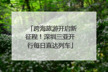 跨海旅游开启新征程！深圳三亚开行每日直达列车