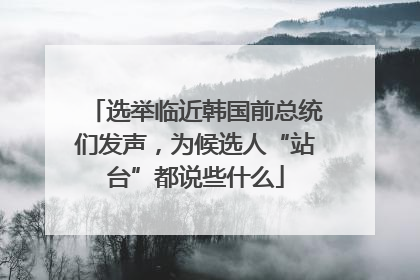 选举临近韩国前总统们发声，为候选人“站台”都说些什么