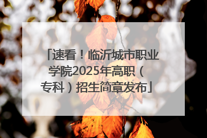 速看！临沂城市职业学院2025年高职（专科）招生简章发布